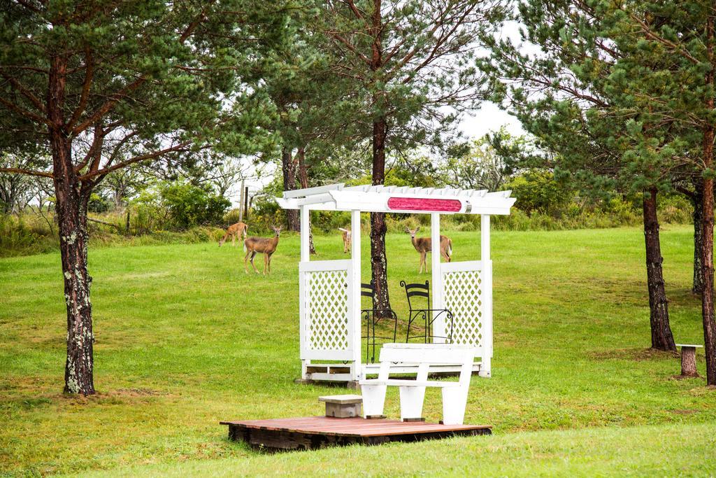 Wheelhouse Motel Луненберг Экстерьер фото