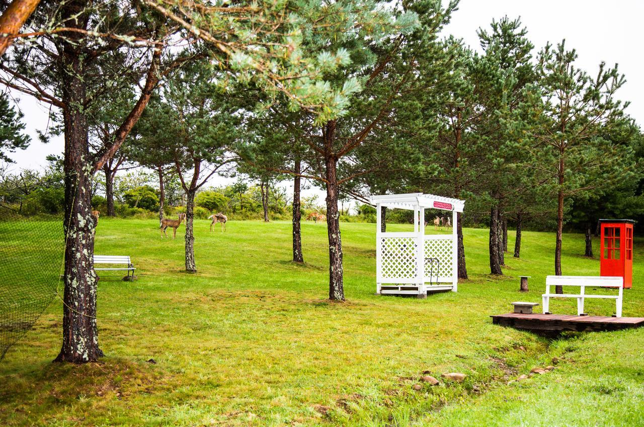 Wheelhouse Motel Луненберг Экстерьер фото
